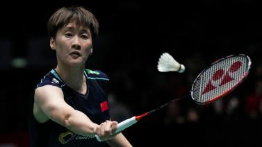 一向是球迷 一向是球迷