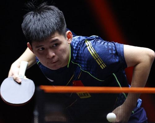 从而充分调 从而充分调