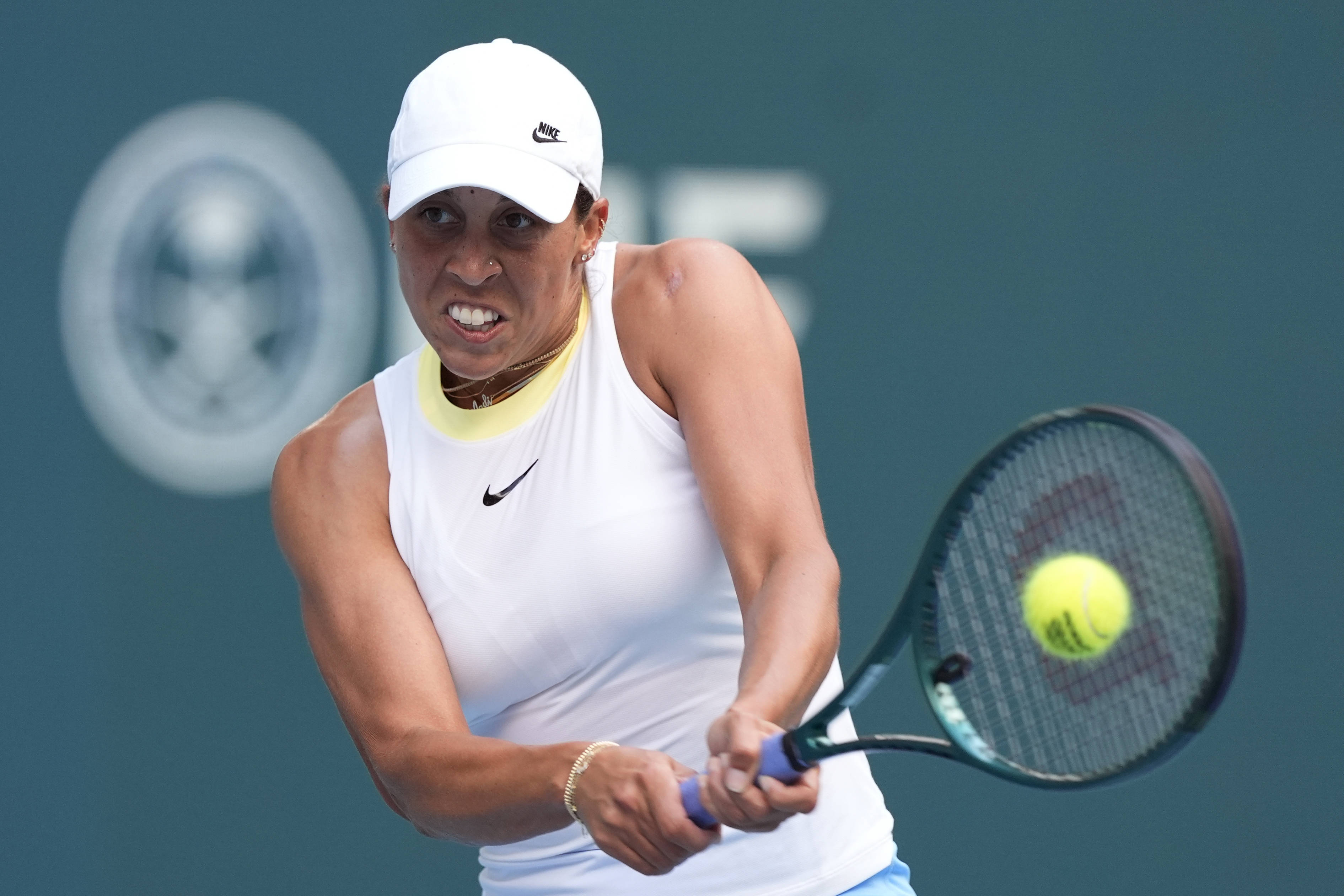 在去年赢得 在去年赢得