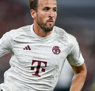 闻到成为国 闻到成为国